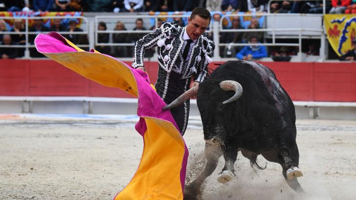 Mutual Funds Weekly: Be wary of this bull market, but don’t fight it