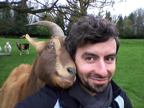 Goats like happy humans more than angry ones