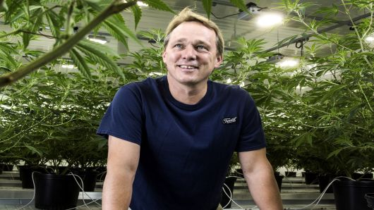 Canopy Growth CEO: We're not the Amazon or Google of pot yet, but we want to be