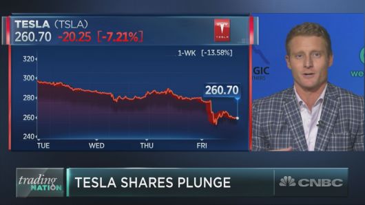 Tesla is the 'absolute epitome of instability' and the stock should be avoided, market watcher warns