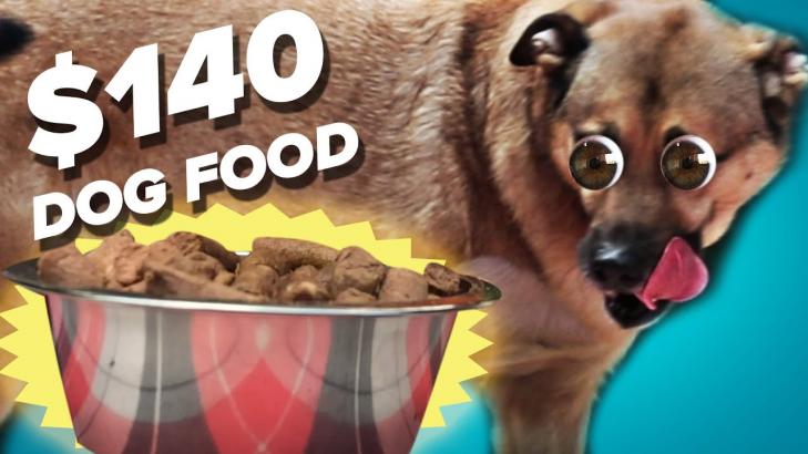 10 Dog Food Vs. 140 Dog Food