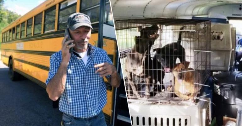 Truck driver rescues 64 animals on a school bus in Hurricane Florence