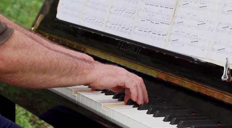 This pianist plays classical music to soothe blind elephants (Video)