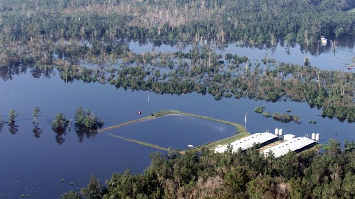 The Wall Street Journal: Florence flooding kills North Carolina hog farms, releases waste into waterways