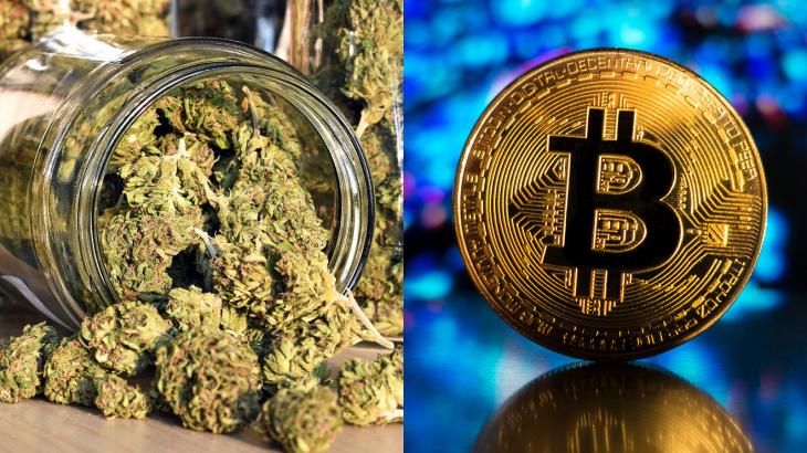 Top Ten: Weekend roundup: Marijuana becomes bitcoin | How investing fads work | Short squeeze candidates