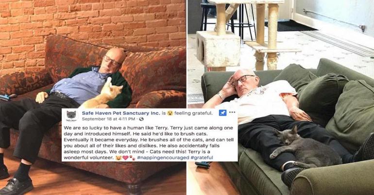 A man who volunteers at a shelter to nap with cats, is the hero we need (12 Photos)