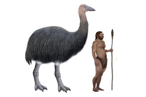 This giant ancient bird just restored my faith in humanity