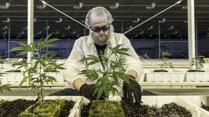 Aurora Cannabis is becoming the Berkshire Hathaway of pot