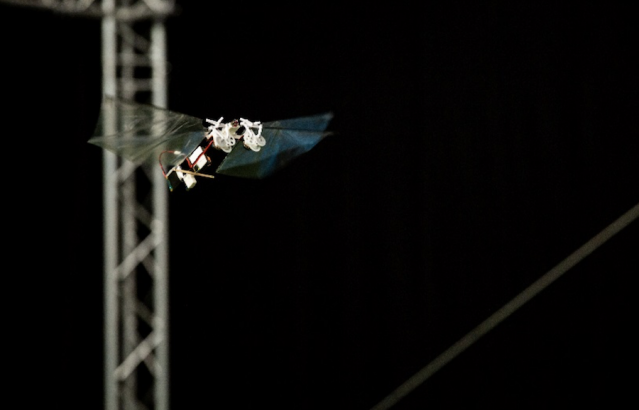 DelFly Nimble mimics the high-speed escape of fruit flies