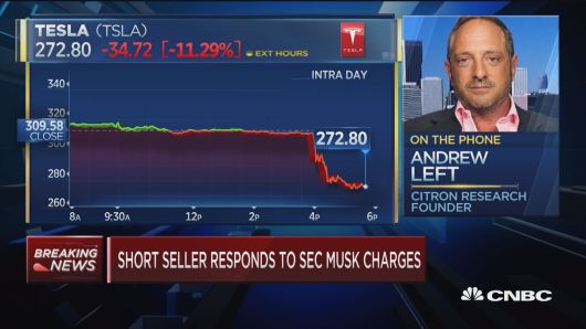 Short seller Andrew Left surprised by market reaction to Musk charge: 'They think a halo existed'