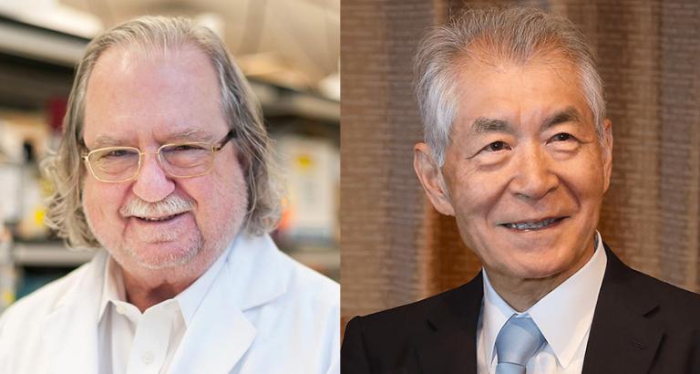 Discovery of how to prod a patient’s immune system to fight cancer wins a Nobel