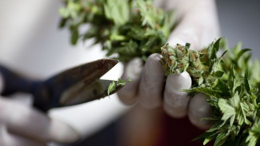 Marijuana stock Tilray plunges 16% after PepsiCo CFO says company has no pot plans