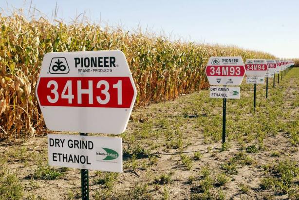 Trump loosens restrictions on ethanol, increases smog