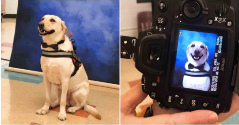 This Service Dog Got His Yearbook Picture Taken, and Yep, That's Definitely a Good Boy
