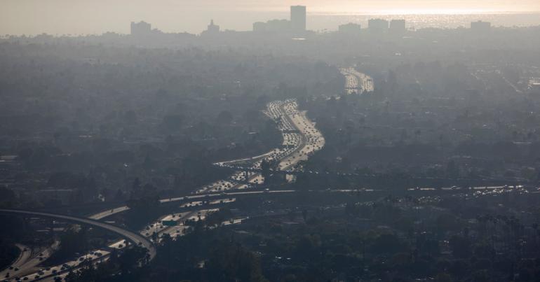 E.P.A. to Disband a Key Scientific Review Panel on Air Pollution