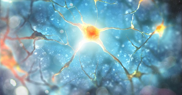 Scientists just shapeshifted a brain cell