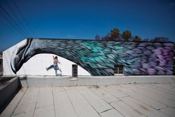 Phenomenal murals highlight extraordinary lives of humble pigeons