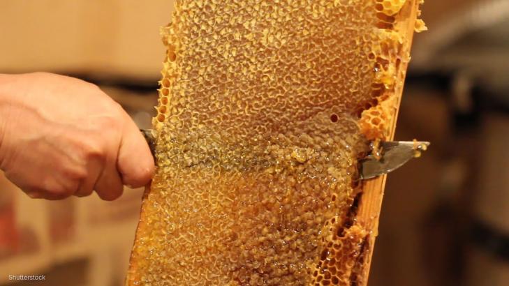 Honeycomb Is Mesmerizing