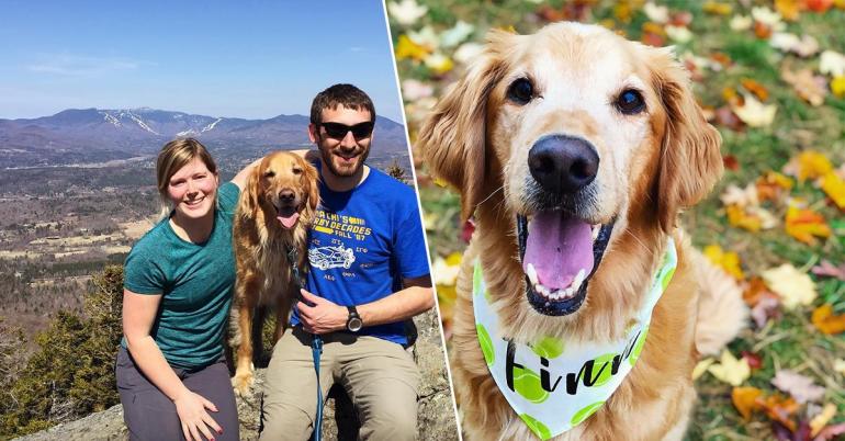 Good boy Finn won’t let cancer stop him from completing his bucket list (19 Photos)