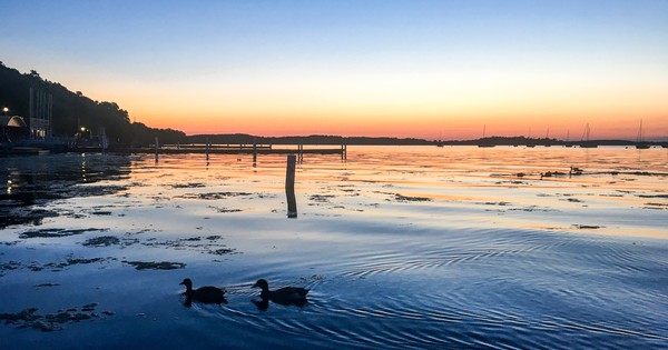 Ducks enjoy a stunning sunset in Wisconsin (photo)