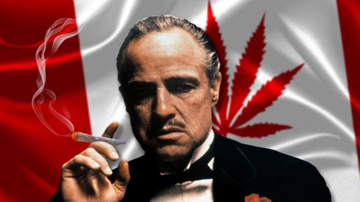 Cannabis Watch: Canada’s largest pot producers deny mafia ties after investigative report