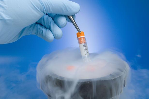 Embryo swapping is the Wild West