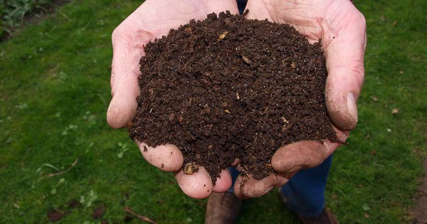 German city going to court to fight composting
