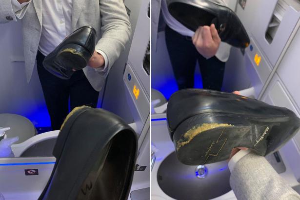 Delta passenger claims he had to sit in dog poop during flight