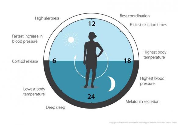What's Circadian-supportive lighting and do I need it in my home or office?