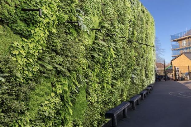 London parents crowd-fund to install living wall at school playground to suck up pollution