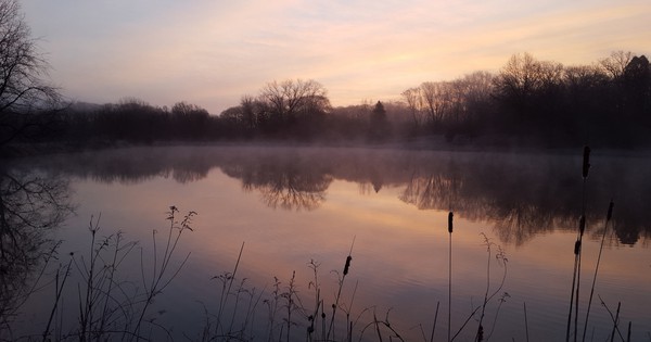 Photo: Misty pond is a study in tranquility