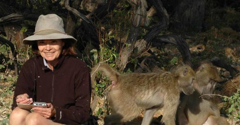 Dorothy Cheney, Who Studied Primates Up Close, Dies at 68
