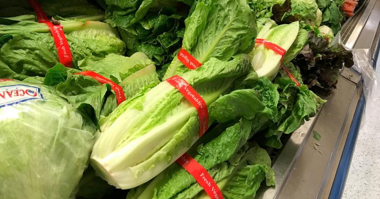 Do Not Eat Romaine Lettuce, Health Officials Warn