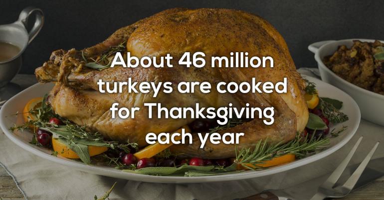 A few facts about Thanksgiving before you eat the turkey (11 Photos)