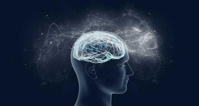 Brain scans decode an elusive signature of consciousness
