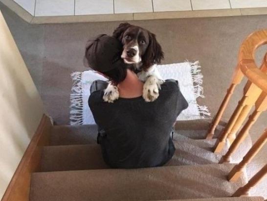 There’s nothing more pure than the love of a dog (23 Photos)