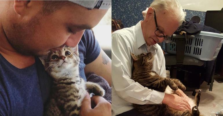 Find someone who looks at you the way these cats look at their humans (32 photos)