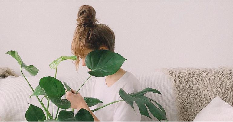 How Indoor Plants Can Help You Avoid Getting Sick This Flu Season