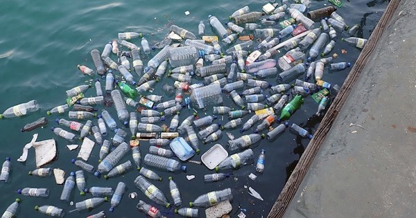 Plastic is toxic at every stage of its life cycle