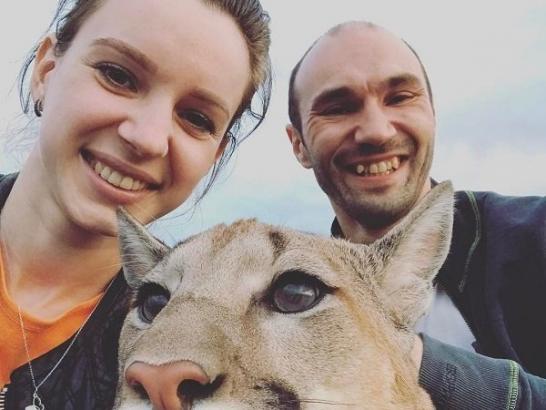 Couple adopts full-grown Puma who can’t live in the wild (7 Photos)