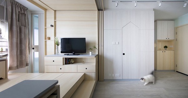 Multigenerational 453 sq. ft. apartment is home to couple, mother & two pets