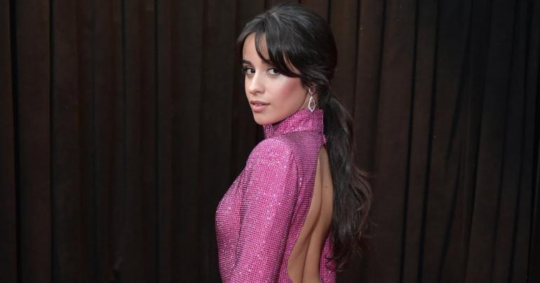 Just Every Sexy Picture We Have of Camila Cabello So Far This Year