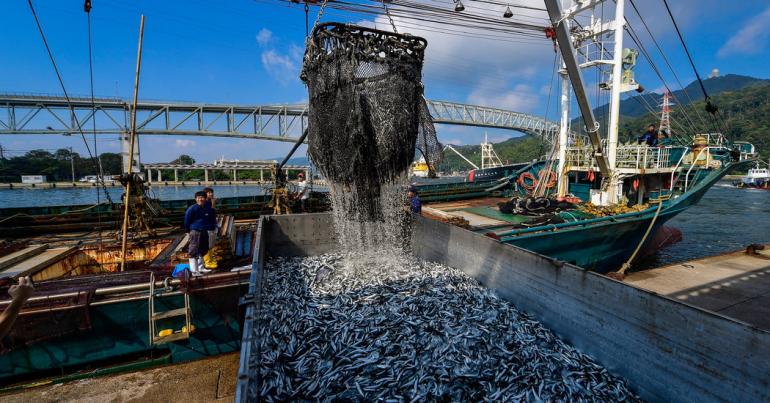 The World Is Losing Fish to Eat as Oceans Warm, Study Finds