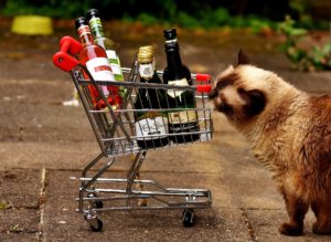 Volunteers Wanted: Must Want To Drink Wine And Feed Shelter Cats