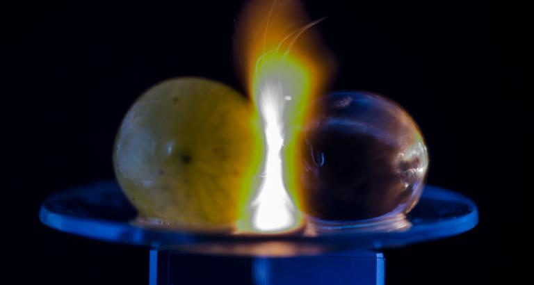 Microwaved grapes make fireballs, and scientists now know why