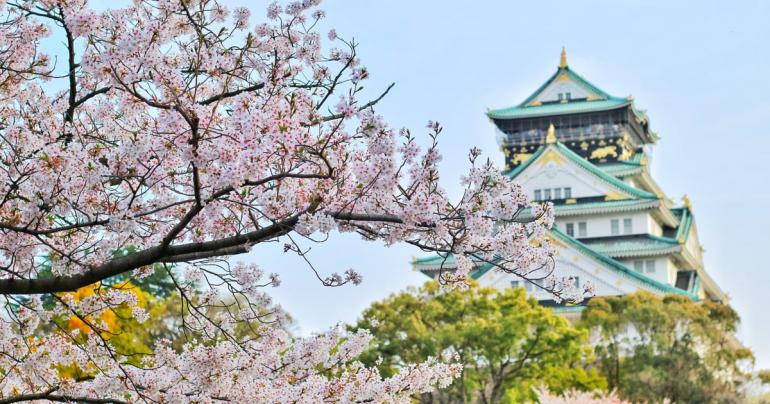Just 34 Stunning Photos of Cherry Blossoms That'll Make You Bloom With Happiness