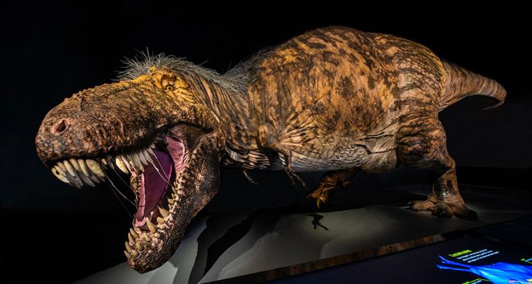 A new  exhibit takes a deep dive into the iconic dinosaur