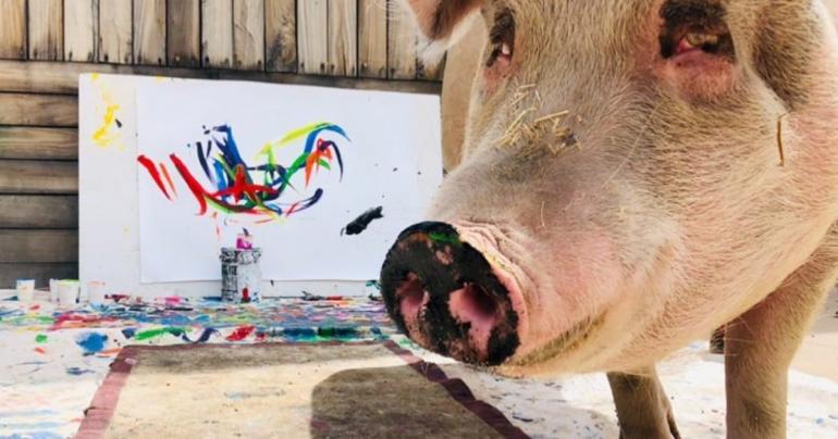 Holy Crap - There’s a Pig Called “Pigasso” Who Paints With His Mouth