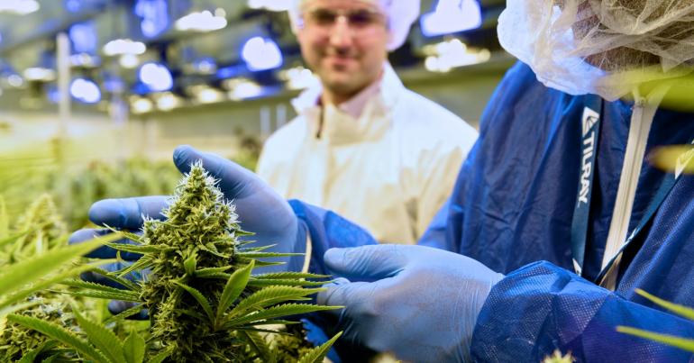 Marijuana grower Tilray rallies 3% after sales more than double