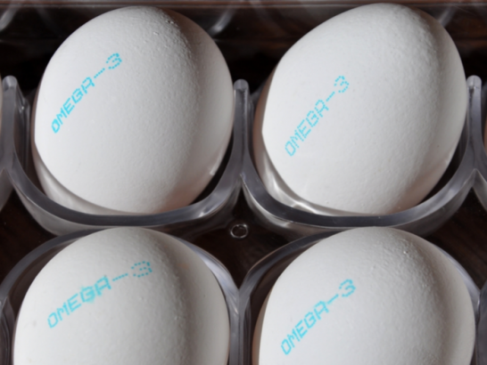 Are Omega-3 Eggs as Good as Eating Fish?